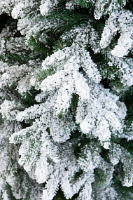 Ель CRYSTAL TREES АМАТИ в снегу 250 см. KP4025S